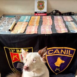 Canil do Baep prende homem por tráfico de drogas e porte de arma em Guarantã