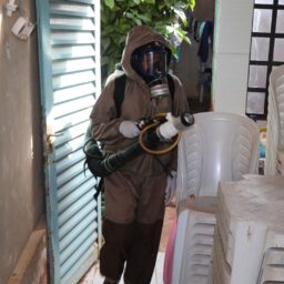 Tupã tem queda expressiva nos casos de dengue e chikungunya em janeiro