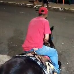Vídeo flagra cavalo exausto, forçado a se levantar; Polícia Civil investiga maus-tratos