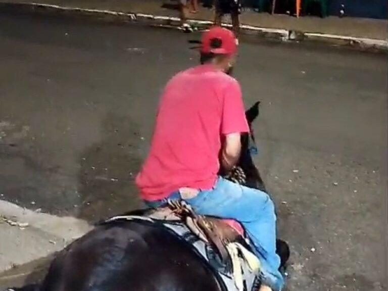 Vídeo flagra cavalo exausto, forçado a se levantar; Polícia Civil investiga maus-tratos