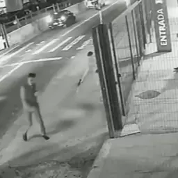 Cachorro é morto com 10 tiros em frente a ponto de ônibus em São Paulo