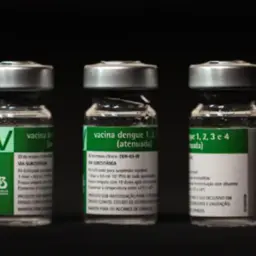 Botucatu inicia neste próximo domingo vacinação em massa contra a dengue