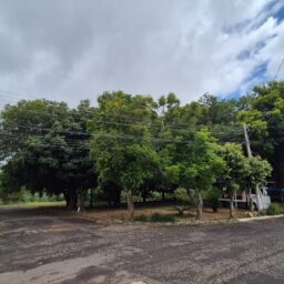 Marília garante 304 moradias populares em parceria com o governo paulista