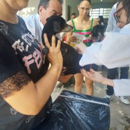 Zona norte de Marília recebe ação antirrábica com 400 doses no dia 28