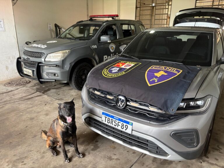 Empresário reincidente é flagrado e confessa receptação de carro roubado e clonado