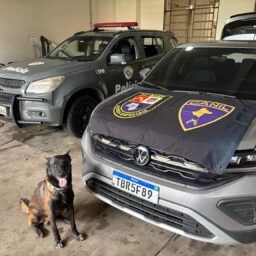 Empresário reincidente é flagrado e confessa receptação de carro roubado e clonado