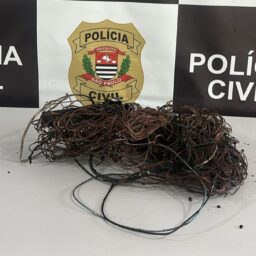 SIG flagra suspeito durante queima de fios de cobre perto de escola em Marília