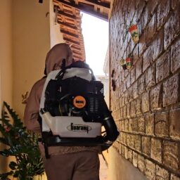 Endemias faz ação contra dengue na área do circuito do Tupã Folia 2026