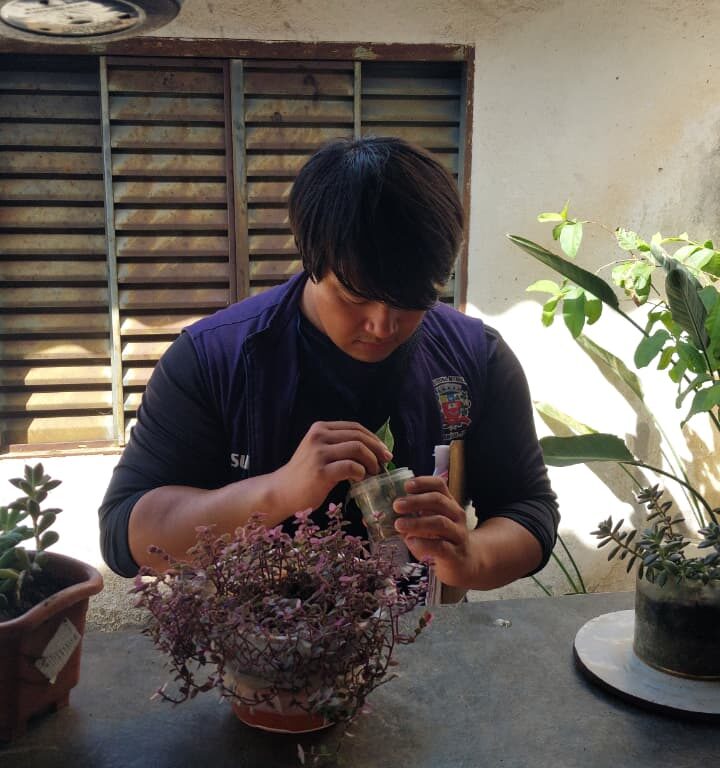 União contra a dengue: Prefeitura convoca moradores para ação preventiva