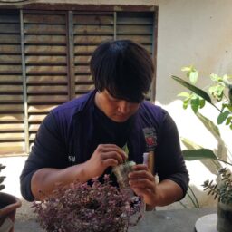 União contra a dengue: Prefeitura convoca moradores para ação preventiva