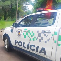 Casal flagrado com jabuti em cativeiro é investigado por maus-tratos a cães