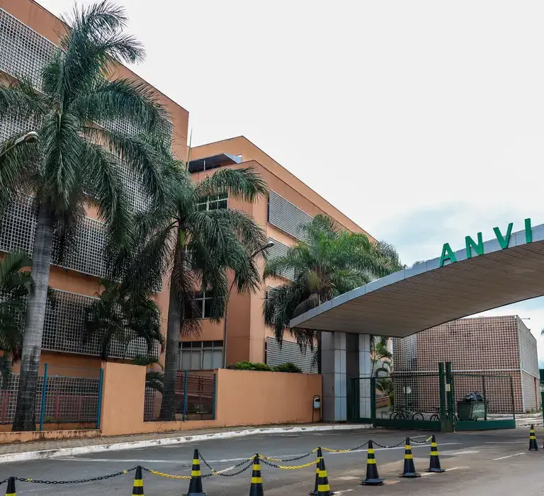 Anvisa: suplementos com cúrcuma podem trazer risco de danos ao fígado