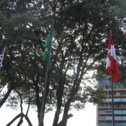 Ciee e Prefeitura divulgam seleção de estágio para universitários em Marília