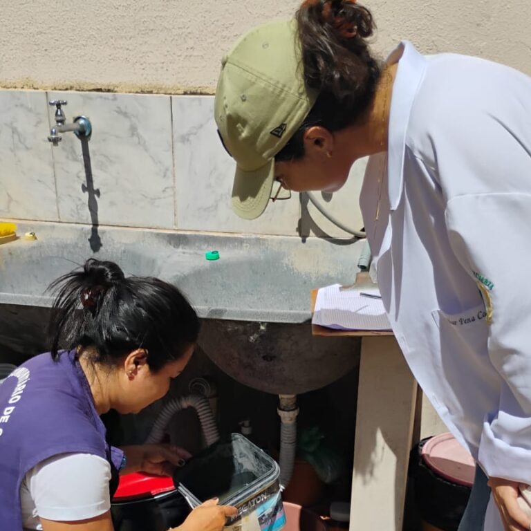 Ação contra dengue visita 782 imóveis e elimina criadouros em Marília