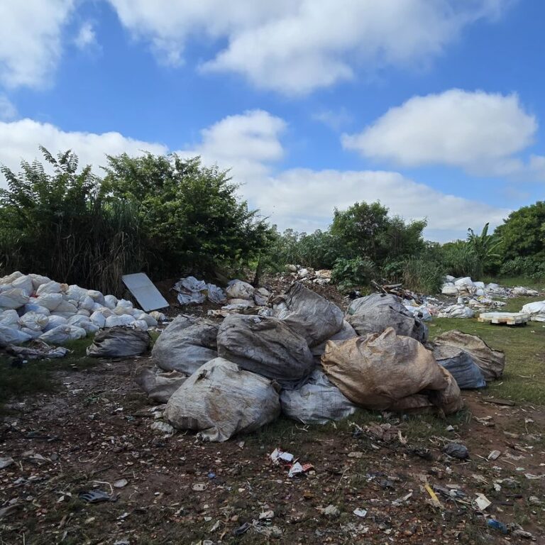 Fiscalização flagra irregularidades ambientais e gera notificações em Marília