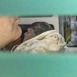 Bolsonaro é internado em UTI hospitalar com broncopneumonia bilateral