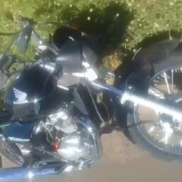 Motociclista fica gravemente ferido na SP-294 em Marília