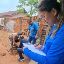 Tupã inicia censo canino com coleta de sangue para detectar leishmaniose