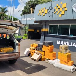 Polícia Militar Rodoviária apreende cerca de 700 quilos de drogas em Marília