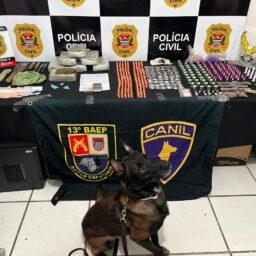 Dise prende barbeiro por tráfico e volta a apreender ‘droga do Seu Madruga’