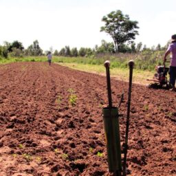 Justiça determina desocupação de fazenda em Gália até junho