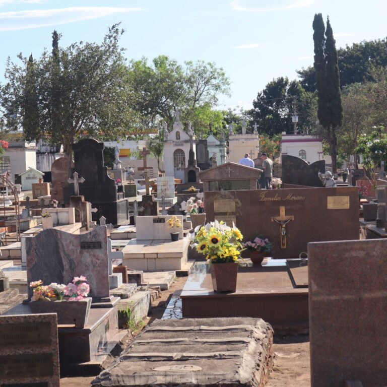 Marília avança em projeto que permite sepultamento de pets com tutores