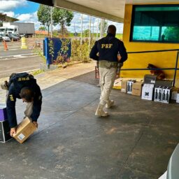 PRF apreende 268 garrafas de vinho argentino sem nota fiscal em Marília