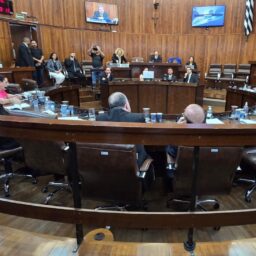 Legislativo vota projeto que regulamenta sepultamento de pets; veja outras matérias