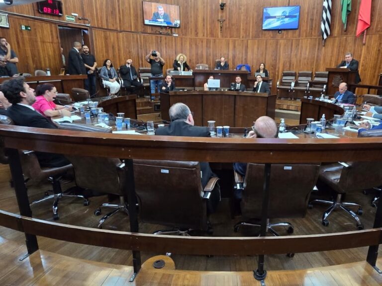 Legislativo vota projeto que regulamenta sepultamento de pets; veja outras matérias