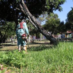 Prefeitura abre chamamento para MEIs atuarem em áreas verdes