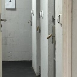 Preso por violência doméstica danifica câmera da CPJ e acaba autuado por novo crime