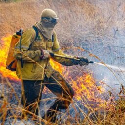 Governo divulga planejamento para enfrentar incêndios em 2026
