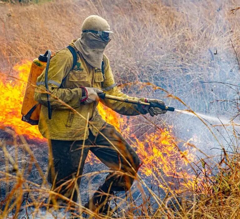 Governo divulga planejamento para enfrentar incêndios em 2026
