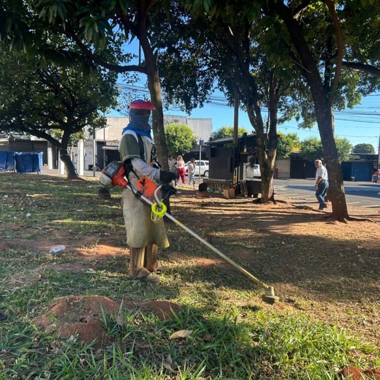 Ação de zeladoria limpa área na avenida Ipiranga perto do Terminal