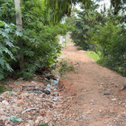 MN TV: Sem acesso a serviços, moradores da rua Ângelo Raspante pedem socorro