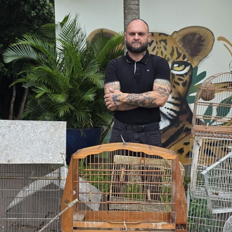 Prefeitura destrói gaiolas apreendidas e reforça combate a crimes ambientais