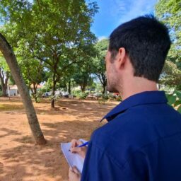 Arborização urbana ganha força em Tupã com foco em saúde e sustentabilidade