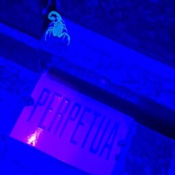 Zoonoses de Tupã reforça papel de referência regional no combate aos escorpiões