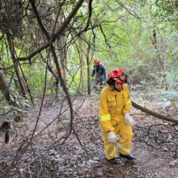 Corpo é encontrado em desfiladeiro na zona norte de Marília