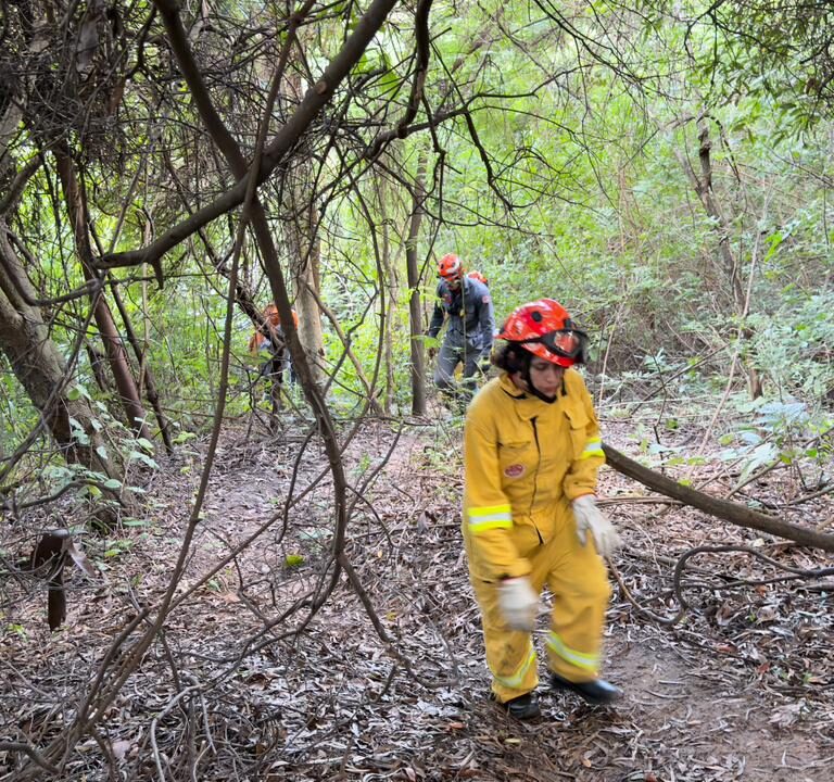 Corpo é encontrado em desfiladeiro na zona norte de Marília