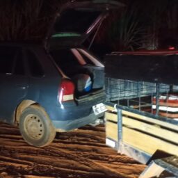 PM Ambiental flagra suspeitos durante caça clandestina e aplica multa na região