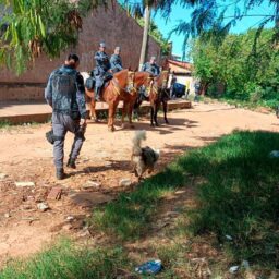 Ação com cães e cavalaria ocupa bairros da zona sul de Marília e apreende drogas