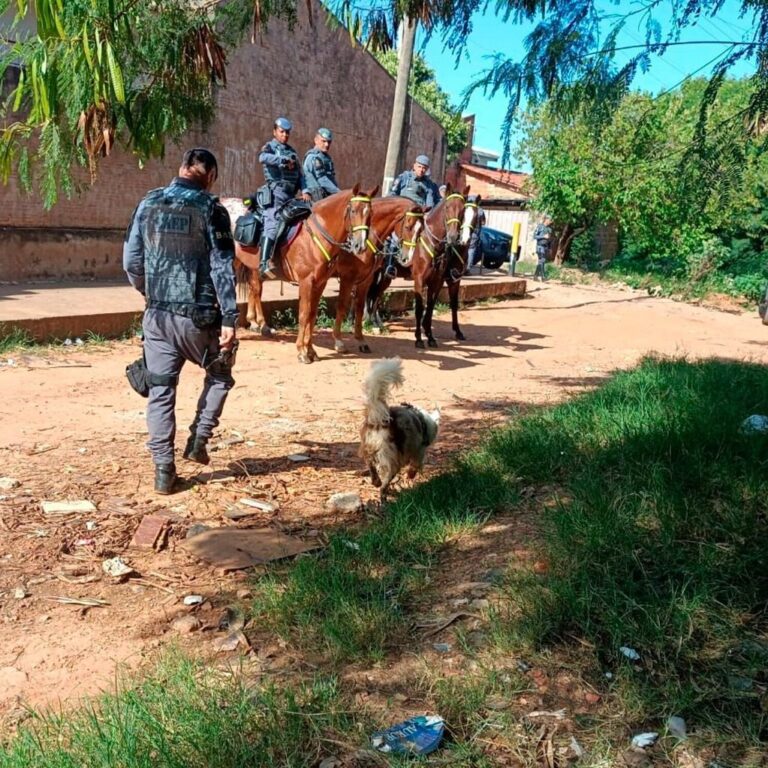 Ação com cães e cavalaria ocupa bairros da zona sul de Marília e apreende drogas