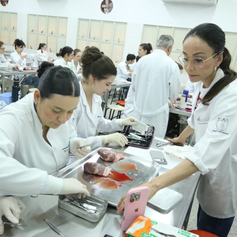 Medicina Unimar promove dissecação de coração em aula prática com ligas acadêmicas