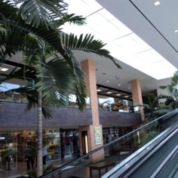 Marília promove 16º mutirão com vagas no setor supermercadista