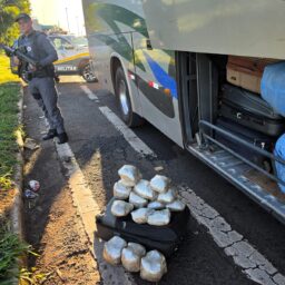 Operação Impacto intercepta quase 600 kg de drogas e prende três na SP-270