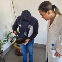 Prefeitura realiza ação contra dengue no Santa Antonieta e conclui trabalho em Avencas