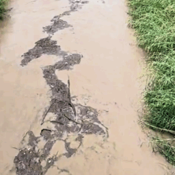 Rio do Peixe enche após chuvas, arrasta resíduos e gera preocupação; veja vídeo