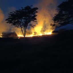 Incêndio de grandes proporções assusta moradores e mobiliza bombeiros na região