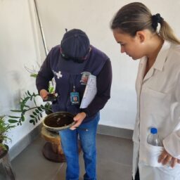 Ação contra dengue é realizada em Amadeu Amaral neste sábado